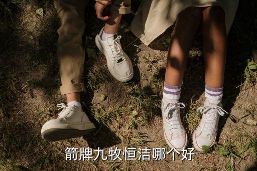  箭牌九牧恒潔哪個好