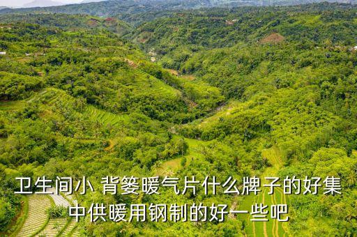 衛(wèi)生間小 背簍暖氣片什么牌子的好集中供暖用鋼制的好一些吧