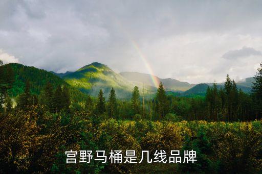 宮野馬桶是幾線(xiàn)品牌