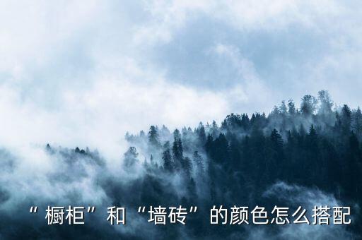 “ 櫥柜”和“墻磚”的顏色怎么搭配