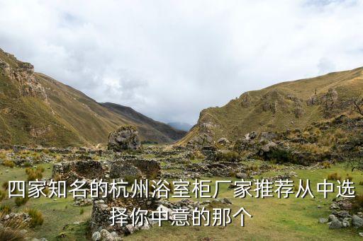 衛(wèi)浴柜設(shè)計(jì)工廠有哪些品牌