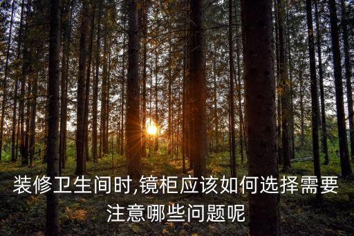 裝修衛(wèi)生間時(shí),鏡柜應(yīng)該如何選擇需要注意哪些問(wèn)題呢