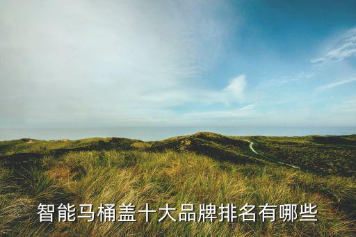 智能馬桶蓋十大品牌排名有哪些
