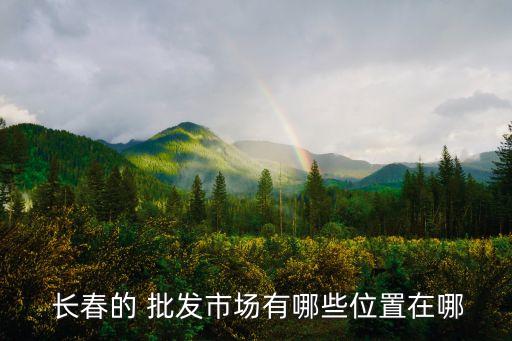  長(zhǎng)春的 批發(fā)市場(chǎng)有哪些位置在哪