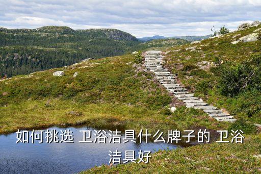 如何挑選 衛(wèi)浴潔具什么牌子的 衛(wèi)浴潔具好
