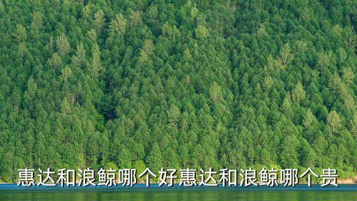 惠達和浪鯨哪個好惠達和浪鯨哪個貴