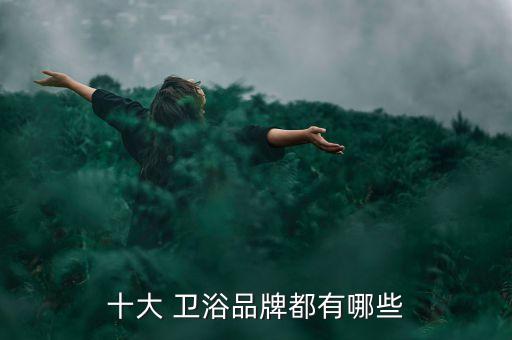 十大 衛(wèi)浴品牌都有哪些