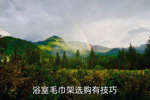 浴室毛巾架選購有技巧