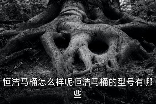 恒潔馬桶怎么樣呢恒潔馬桶的型號有哪些
