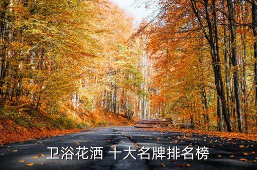 衛(wèi)浴花灑 十大名牌排名榜