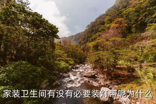 家裝衛(wèi)生間有沒有必要裝燈帶呢為什么