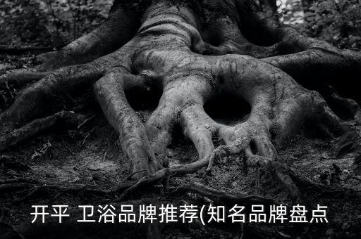 開平 衛(wèi)浴品牌推薦(知名品牌盤點(diǎn)