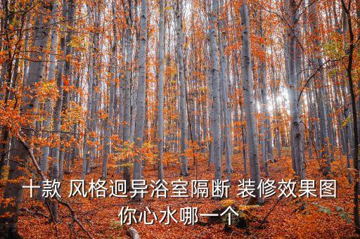 十款 風(fēng)格迥異浴室隔斷 裝修效果圖你心水哪一個