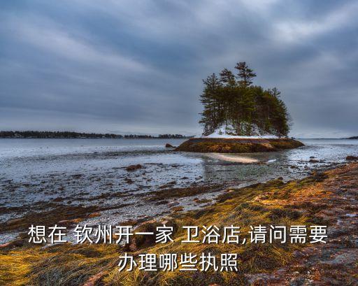 想在 欽州開一家 衛(wèi)浴店,請問需要辦理哪些執(zhí)照