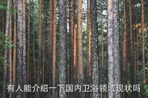 有人能介紹一下國內(nèi)衛(wèi)浴領(lǐng)域現(xiàn)狀嗎