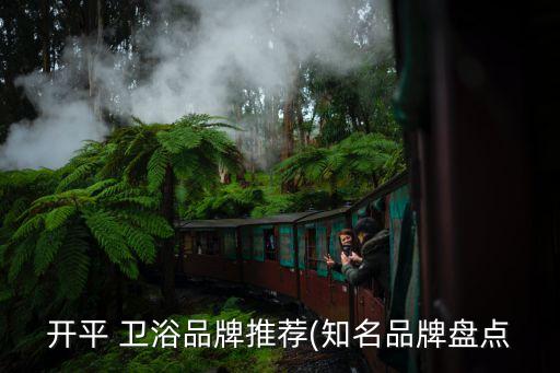 開平 衛(wèi)浴品牌推薦(知名品牌盤點