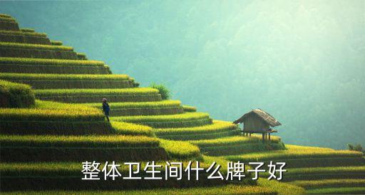 哪個整體衛(wèi)浴品牌好點實惠