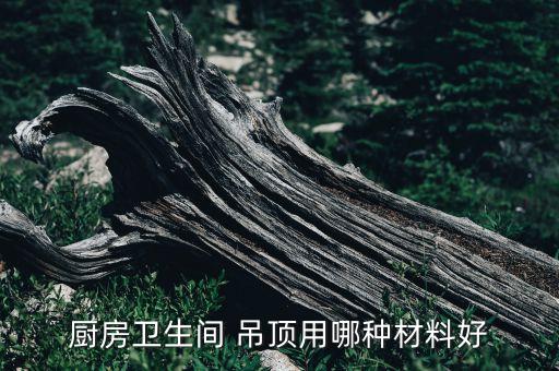 廚房衛(wèi)生間 吊頂用哪種材料好