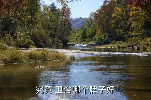衛(wèi)浴一套用什么品牌好些,riifo什么衛(wèi)浴品牌