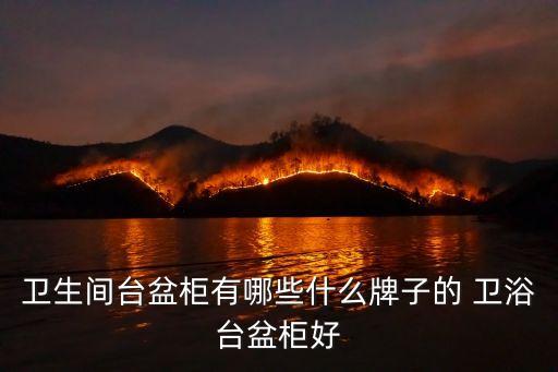衛(wèi)生間臺(tái)盆柜有哪些什么牌子的 衛(wèi)浴臺(tái)盆柜好