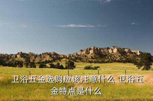  衛(wèi)浴五金選購(gòu)應(yīng)該注意什么 衛(wèi)浴五金特點(diǎn)是什么