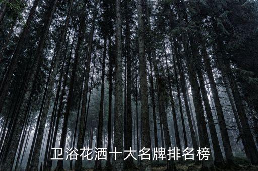 豐城東鵬衛(wèi)浴有限公司圖片,開平市東鵬衛(wèi)浴實業(yè)有限公司