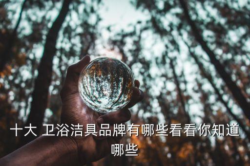 十大 衛(wèi)浴潔具品牌有哪些看看你知道哪些