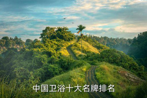 中國(guó)衛(wèi)浴十大名牌排名