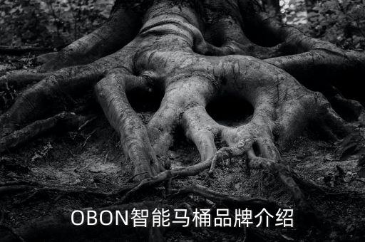 OBON智能馬桶品牌介紹