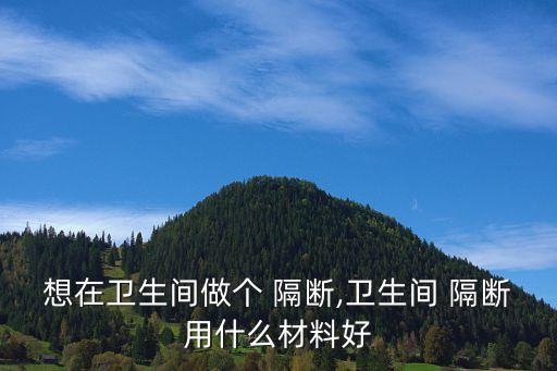 想在衛(wèi)生間做個 隔斷,衛(wèi)生間 隔斷用什么材料好