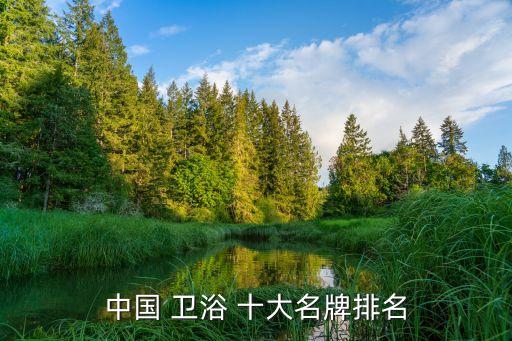上海性價(jià)比高的衛(wèi)浴十大品牌,上海十大性價(jià)比早茶
