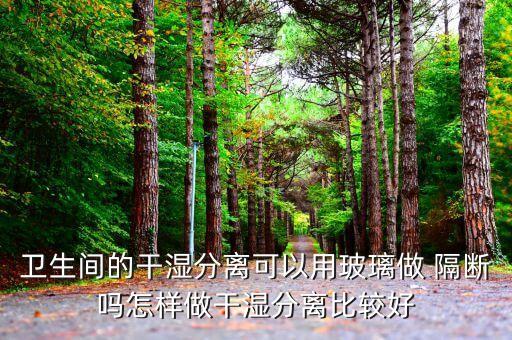 衛(wèi)生間的干濕分離可以用玻璃做 隔斷嗎怎樣做干濕分離比較好