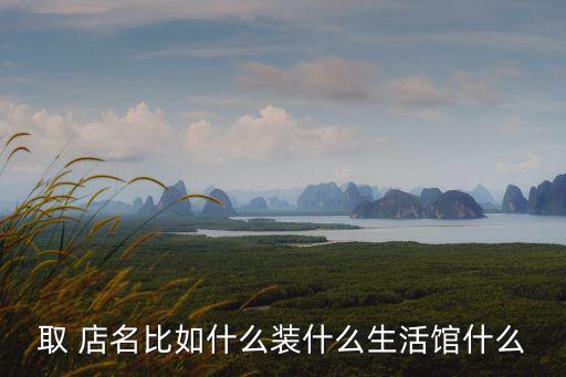 取 店名比如什么裝什么生活館什么