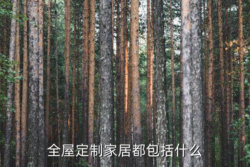 全屋定制家居都包括什么