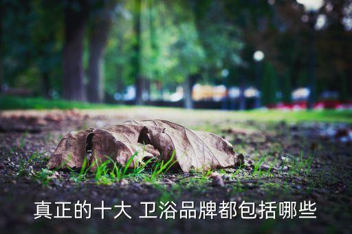 真正的十大 衛(wèi)浴品牌都包括哪些