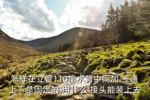 怎樣在立管110排水管中間加 三通上下是固定的,用什么 接頭能裝上去