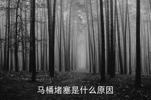 箭牌衛(wèi)浴堵了怎么辦