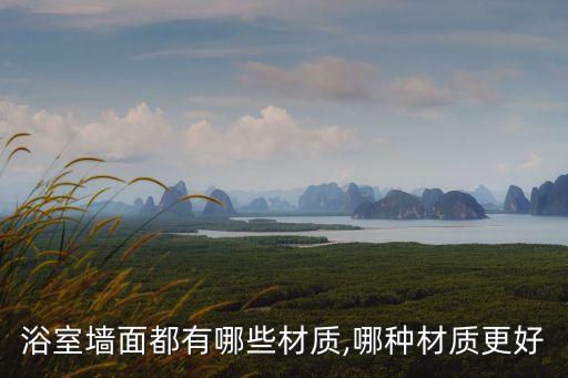衛(wèi)浴門店壁畫圖片,法恩莎衛(wèi)浴門店圖片大全