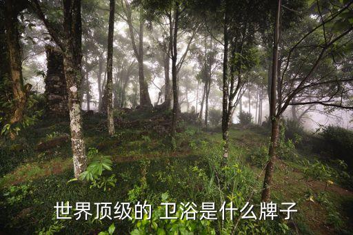 世界頂級(jí)的 衛(wèi)浴是什么牌子