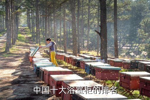安華衛(wèi)浴紙巾盒價格及圖片