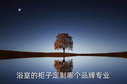 富蘭克衛(wèi)浴牌子怎么樣圖片
