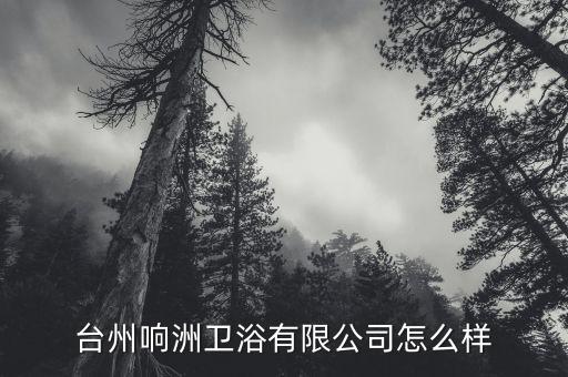 臺(tái)州響洲衛(wèi)浴有限公司怎么樣