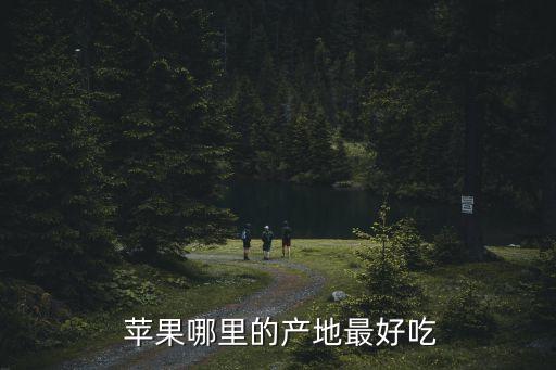  蘋果哪里的產(chǎn)地最好吃