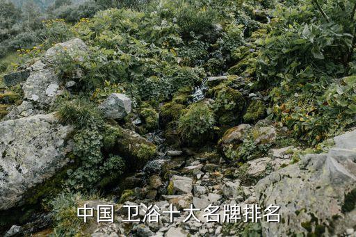 抗菌衛(wèi)浴用品品牌排行榜,抗菌醫(yī)療板品牌排行榜前十名