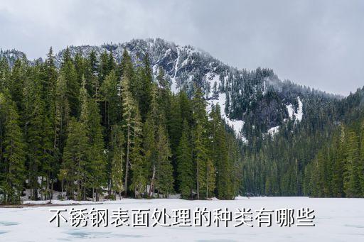 不銹鋼表面處理的種類有哪些