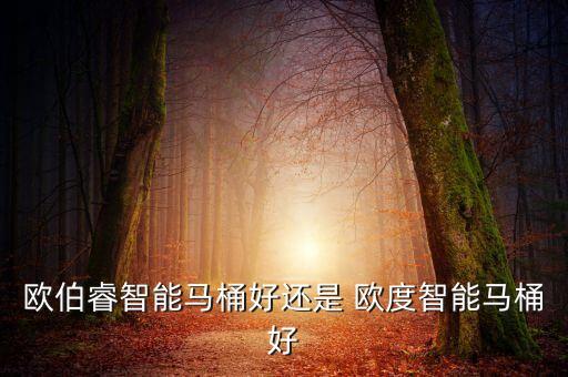 歐伯睿智能馬桶好還是 歐度智能馬桶好