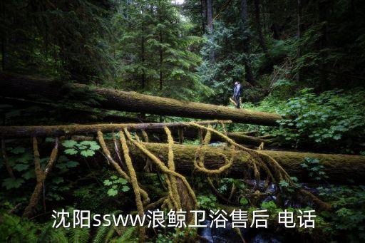  沈陽(yáng)ssww浪鯨衛(wèi)浴售后 電話