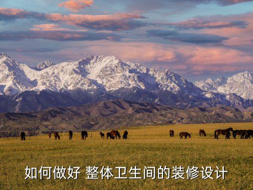 如何做好 整體衛(wèi)生間的裝修設(shè)計(jì)