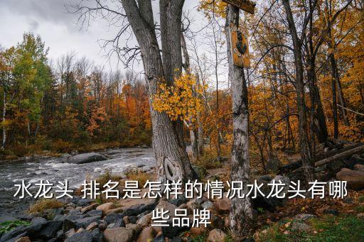 水龍頭 排名是怎樣的情況水龍頭有哪些品牌