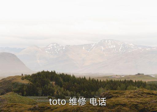 toto 維修 電話
